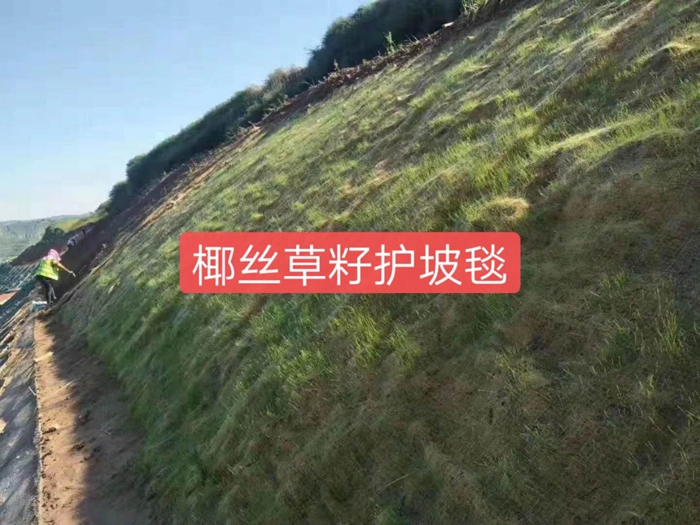 椰丝生态护坡毯