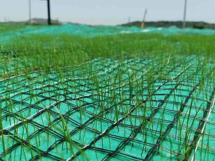 抗冲一体生物护坡毯