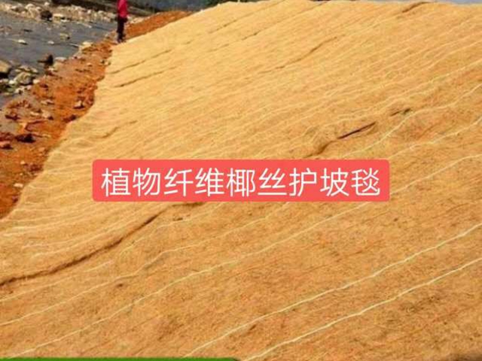 椰丝生态护坡毯